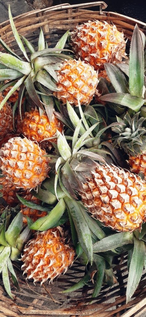 ananas-ile-de-la-reunion